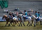 Pferd International 043